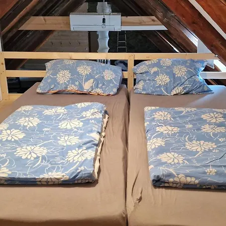 Apartman River Loft *
